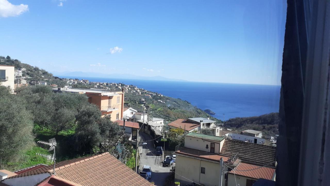 Il Quadrifoglio Villa Massa Lubrense Dış mekan fotoğraf