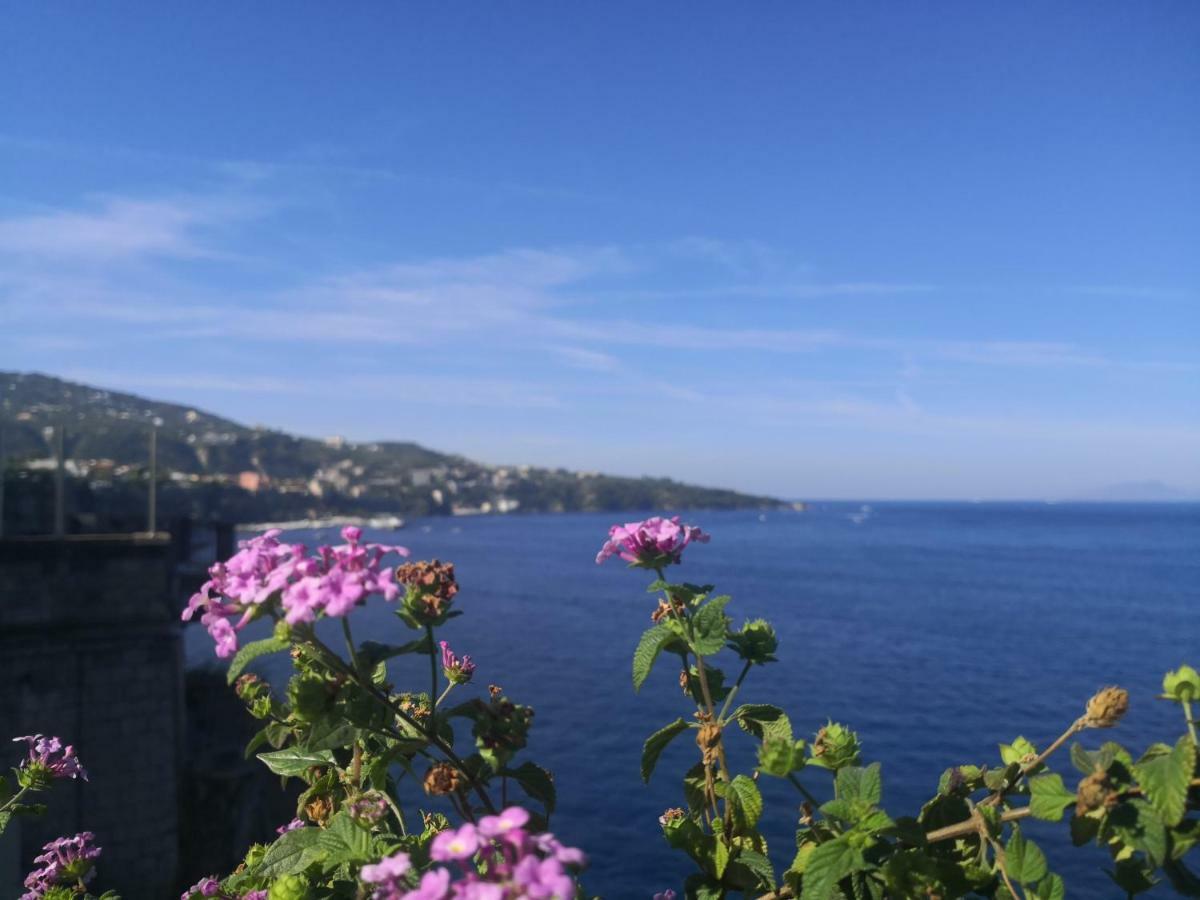 Il Quadrifoglio Villa Massa Lubrense Dış mekan fotoğraf